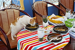 �������,  ����� ������� (�����, ����������� � ������� ����)