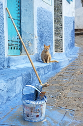 �������,  ����� ������� (�����, ����������� � ������� ����)