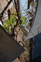 �������,  ����� ������� (�����, ����������� � ������� ����)