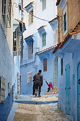 �������,  ����� ������� (�����, ����������� � ������� ����)