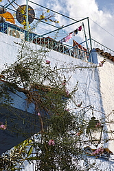 �������,  ����� ������� (�����, ����������� � ������� ����)