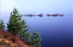 ������ �� �����, �������� ���