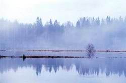 ������ �� �����, �������� ���