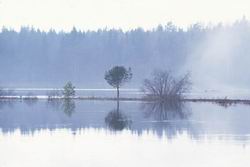 ������ �� �����, �������� ���