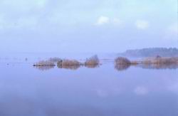 ������ �� �����, �������� ���