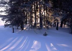 ����. ������ ����