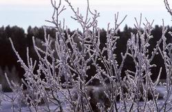 ����. ����������� �����