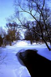 ���� � ����������� ������. ����