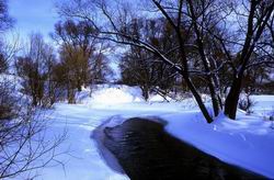 ���� � ����������� ������. ����