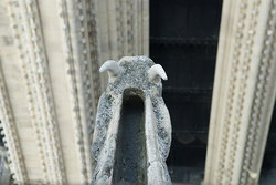 �������� ������ ��������� ���������� (����-���), �����, �������