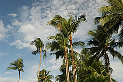 �������, �������� ����� �� ���� ����