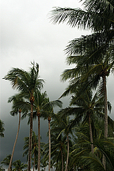 �������, ������ ����� ������, ������ �� ����