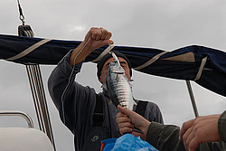 ������� �� ���������