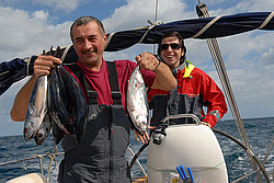 ������� �� ���������