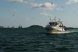 ��������� (�������)