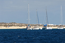 ������ ��������