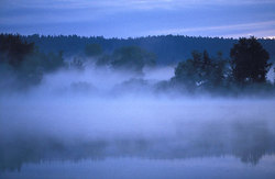 Morning fog on the river