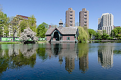 ����������� ����, ��� ����.