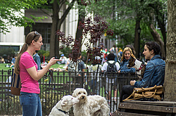 ��� , ��� ����