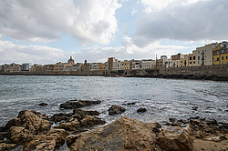 �������. �������, ������. ����.