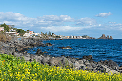 ���������, ���-��������. �������, ������. ����.