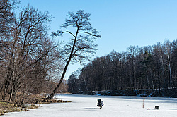 ������� ���������. ������������ ���������. ������.