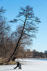 ������� ���������. ������������ ���������. ������.