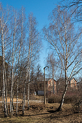 ������� ���������. ������������ ���������. ������.