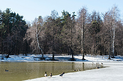 ������� ���������. ������������ ���������. ������.