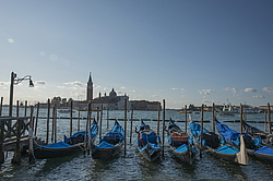 �������, ������,  ����� 2019