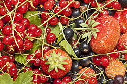 ��� �� ������ � ����