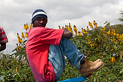 ������� ������