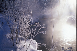 ���� � ����� ������ ������� ���� �������