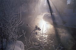 ���� � ����� ������ ������� ���� �������