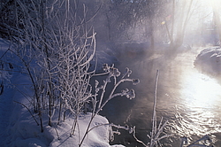 ���� � ����� ������ ������� ���� �������