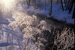 ���� � ����� ������ ������� ���� �������