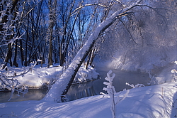 ���� � ����� ������ ������� ���� �������