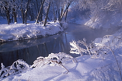 ���� � ����� ������ ������� ���� �������