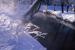 ���� � ����� ������ ������� ���� �������