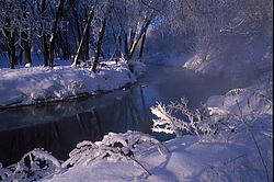 ���� � ����� ������ ������� ���� �������