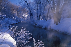 ���� � ����� ������ ������� ���� �������