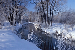 ���� � ����� ������ ������� ���� �������