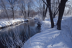 ���� � ����� ������ ������� ���� �������