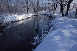 ���� � ����� ������ ������� ���� �������