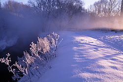 ���� � ����� ������ ������� ���� �������