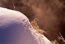 ���� � ����� ������ ������� ���� �������