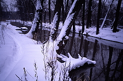 ���� � ����� ������ ������� ���� �������