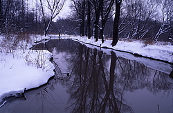 ���� � ����� ������ ������� ���� �������