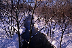 ���� � ����� ������ ������� ���� �������