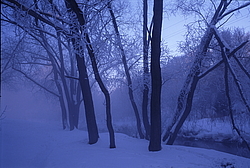 ���� � ����� ������ ������� ���� �������